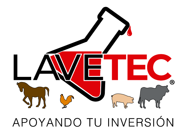 lavetec